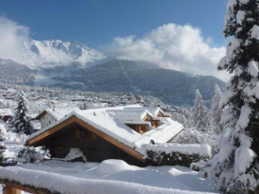Chalet Lion d'Or